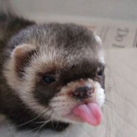 Skope (@skopezi) 's Twitter Profile Photo Skope (@skopezi) 's Twitter Profile Photo