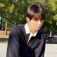 pita (@fleurszip) 's Twitter Profile