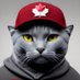 The Sarcasticat (@thesarcasticist) Twitter profile photo The Sarcasticat (@thesarcasticist) Twitter profile photo