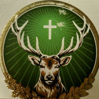 Diebyaman's profile picture. Investor and Trader and an invisible nobody. :)

 Michael J Huddleston's protege.