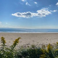 Elizabeth Lothian (@ejlothian) 's Twitter Profile