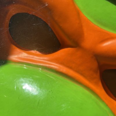 TurtleTricks's profile picture. TRICKY TURTLE!!!