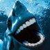 SharkRags (@sharkrags) Twitter profile photo SharkRags (@sharkrags) Twitter profile photo