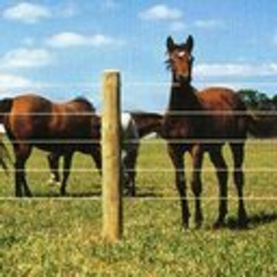 HORSE FENCING | ELECTRIC FENCING | HORSE FENCES - HORSE.COM