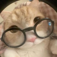 Shinyen Ningthouja (@shinyen_464) 's Twitter Profile