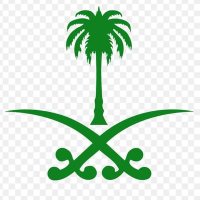 ابو سفيان بن مسعود اليافعي💎 (@abusufin11) Twitter profile photo