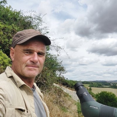 DorsetBirdTours Profile Picture