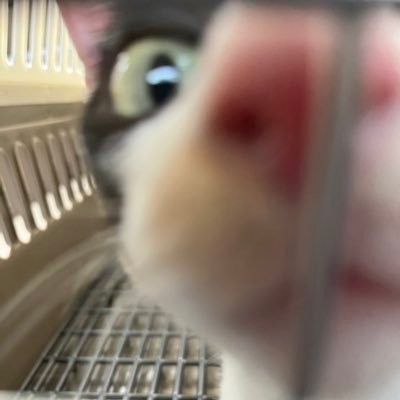 gimmefloyd_'s profile picture. 