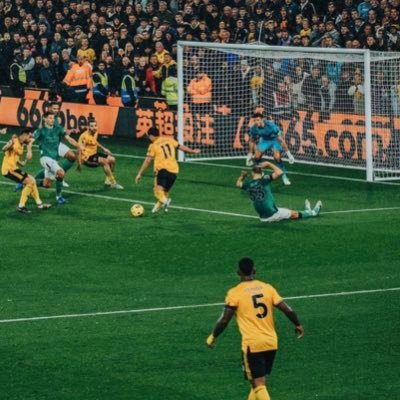 nevermindthe_'s profile picture. @Wolves and Golf.