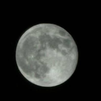toove18's profile picture. اكثر آنسانة صعب توصل له،  ".ادم مادمت لستُ من محارمك فـ ابتعد عني ...🕊
