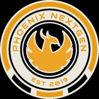 Phoenix NextGen FC (@phoenixnextgen_) 's Twitter Profile