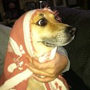 jodie frey - @JodieFrey - Twitter