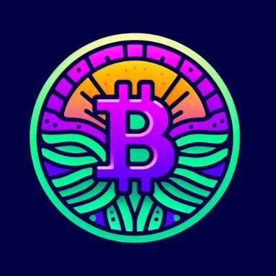 SolanasBitcoin Profile Picture