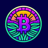 SolanaBitcoin (@solanasbitcoin) 's Twitter Profile
