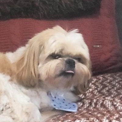 Aerreteagauerre's profile picture. Talked Too Much, Stayed Too Long