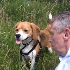 richard_uh's profile picture. Art, design, craftsmanship, landscape, the seasons, words, Mandarin, ideas, music, cooking, learning, diatoms, freshwater biology, the microscope, my garden.