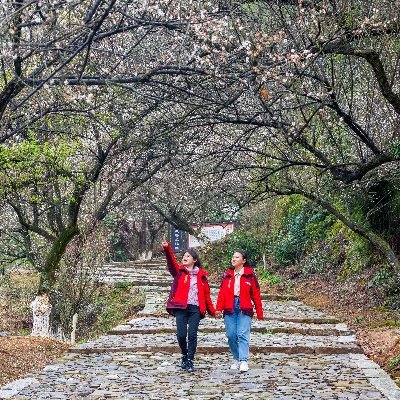 梅花诗国 牡丹亭故乡 红色圣地 理学源地（互fo）