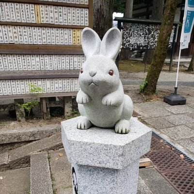 おとぐらし、神社仏閣、動物、芸人さん、食べる事大好きな
2児の母です👧👦