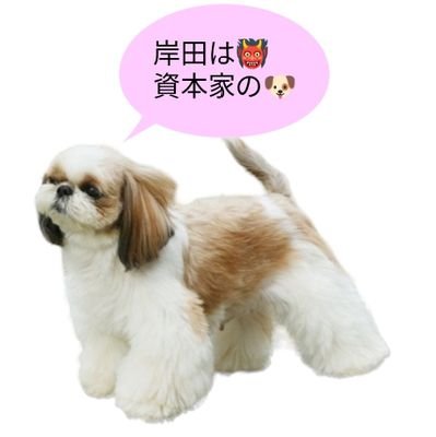 Tax The Rich、超富裕層から税金を取るべき、庶民が大金持ちを支える政策は間違えている、政治家と統一教会の癒着の解明をしろ、マイナンバーカード賛成 & デジタル化を推進させよう、デジタル化を推進しないと日本に移民がどんどん増えていく、インボイス反対、#FreePalestine