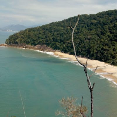 ChmiV25906's profile picture. 