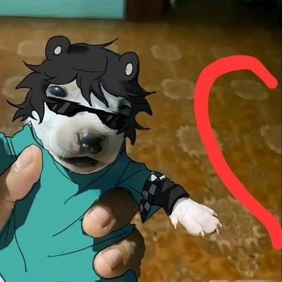 Quu0kka's profile picture. ＊*•̩̩͙✩•̩̩͙*˚　She/her ¦| 19 |¦ 🇨🇱 ¦|nataring mi casita 　˚*•̩̩͙✩•̩̩͙*˚＊