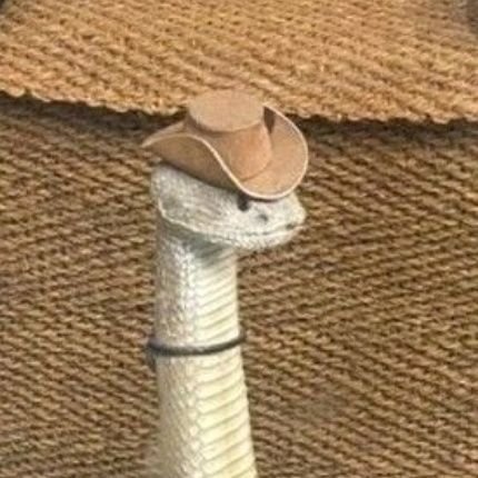 drabkebab's profile picture. 