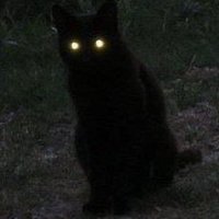 gringly (@grin9ly) 's Twitter Profile