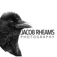 Jacob Rheams(@jacob_rheams) 's Twitter Profileg