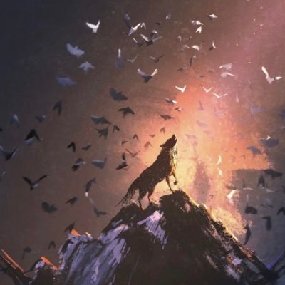 ChHj8448's profile picture. 