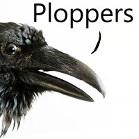Aidan O'Donnell (@thetoiletduck) 's Twitter Profile