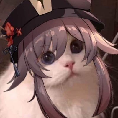 HutaoTofu's profile picture. !!!