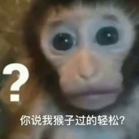 啤呐呲 (@zhibudao_11) Twitter profile photo