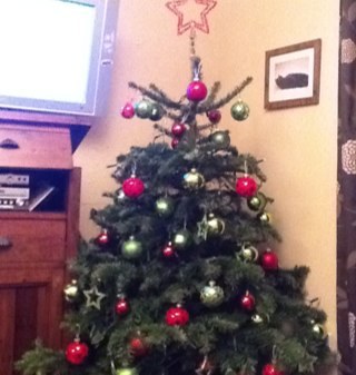 JennineNene's profile picture. 