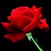 yaseen Abo sdah (@yaseensdah) Twitter profile photo yaseen Abo sdah (@yaseensdah) Twitter profile photo