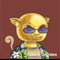 duchesscelsiuc's profile picture. In defi, i see a world where wealth is for all