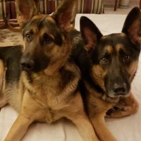 Myrna Maureen (@cheeba2013) 's Twitter Profile