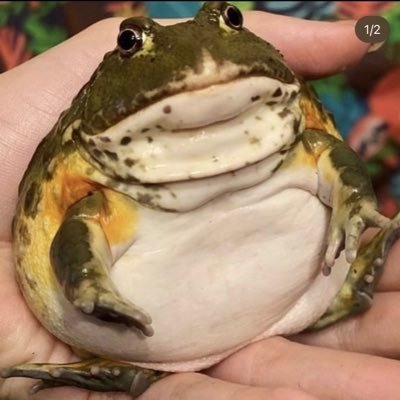 AvgTweetEnjoyer's profile image