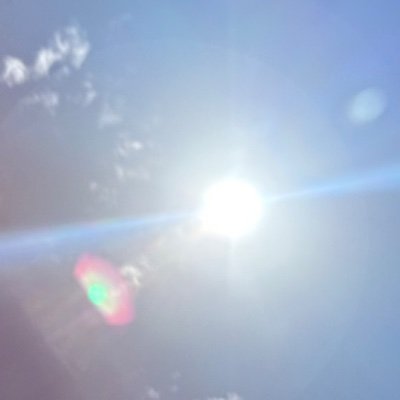 Ganchocrewlow's profile picture. Im on autopilot, Heading Hold to success.