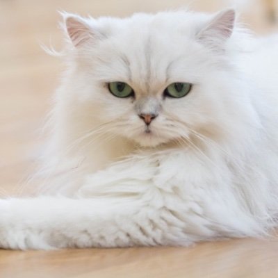 ShelleyG622961's profile picture. 