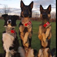 Mary Kirby (@marykirby71) 's Twitter Profile Photo Mary Kirby (@marykirby71) 's Twitter Profile Photo