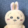 16_5_m's profile picture. 