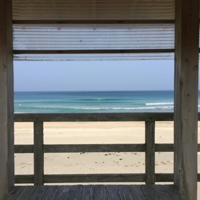 mu_chan012023's profile picture. 最近、現代アートに興味。特に若いアーティストの作品が気になる。波乗りは少し。