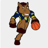Portage Central Basketball(@PCHS_Basketball) 's Twitter Profile Photo