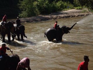 Tickover's profile picture. 