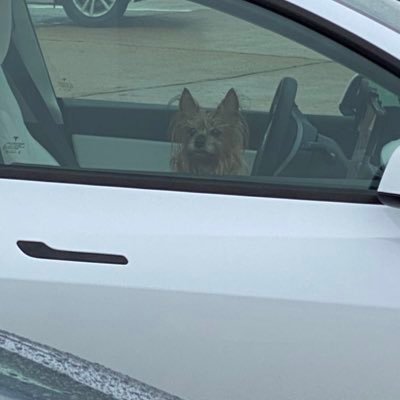 MT13_DOGA's profile picture. Stocks, Movies, Sushi and Steaks