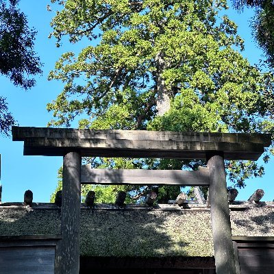 伊勢神宮は日本の最も神聖な巡礼地の一つであり、その周辺にも見どころが満載です。伊勢神宮への訪問から始まり、周辺の観光スポット、グルメ、宿泊施設について詳しくご紹介します。伝統と美食の融合、そして神秘的な雰囲気が広がる伊勢神宮エリアでの素晴らしい体験について探求しましょう。⛩フォロバ100%怪しい垢以外⛩