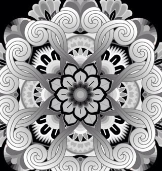 lieslhollander's profile picture. 