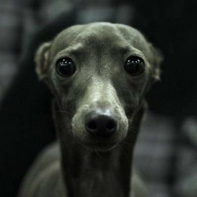 BrianMutay's profile picture. sonographer