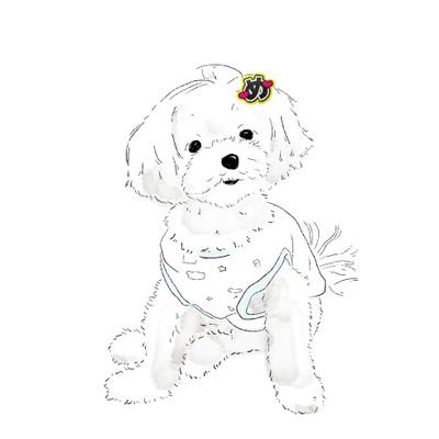 hanajunman's profile picture. 大人なスノ担です✨めめが大好きですがもはや箱推し💕愛に溢れた９人が大好きです✨
毎日毎日Snow Man漬けです⛄💕
かなり大人ですが…好きすぎて時に切なくなることも💦
同じ価値観のスノ担の方と毎日Snow Manのお話ができたら嬉しいなぁと思います🖤

九州住みです♪

#大人スノ担さんと繋がりたい