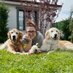 sinem becerir aykut (@gezginkuyruk) Twitter profile photo sinem becerir aykut (@gezginkuyruk) Twitter profile photo